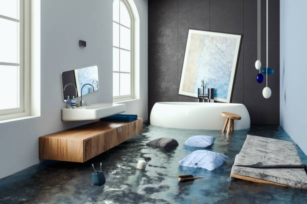 Best Water damage cleanup near me  in Carol Stream, IL