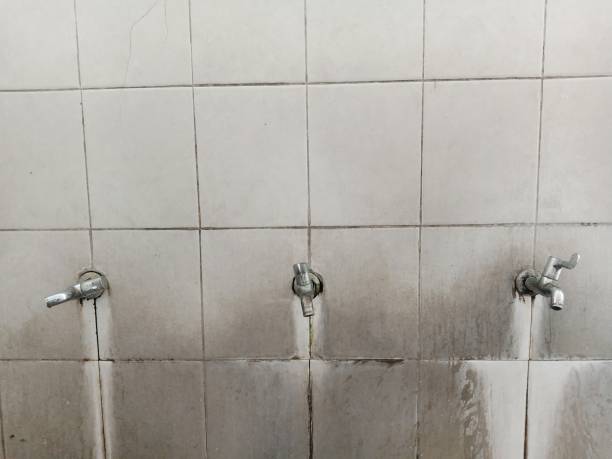 Best Basement water damage restoration  in Carol Stream, IL