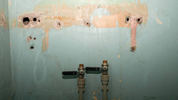 Best Water damage restoration near me  in Carol Stream, IL
