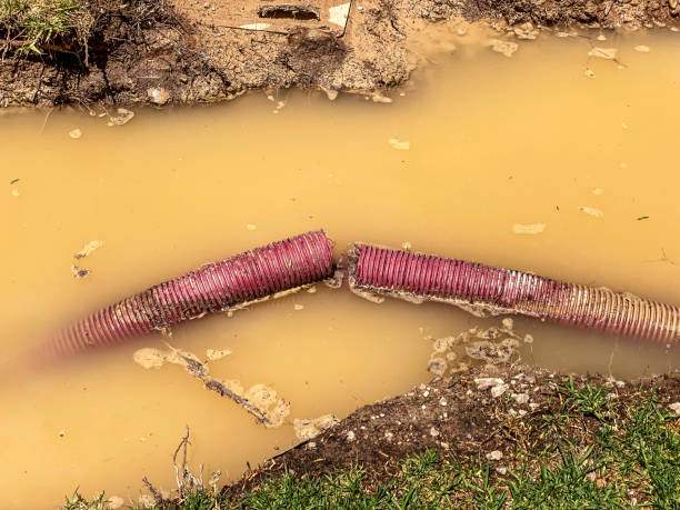 Best 24-hour water damage restoration  in Carol Stream, IL